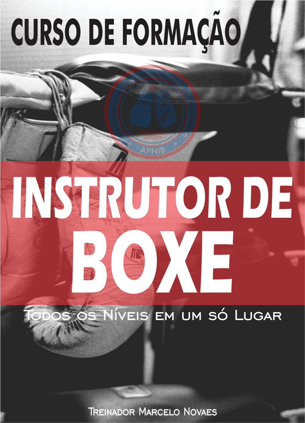 Instrutor de Boxe