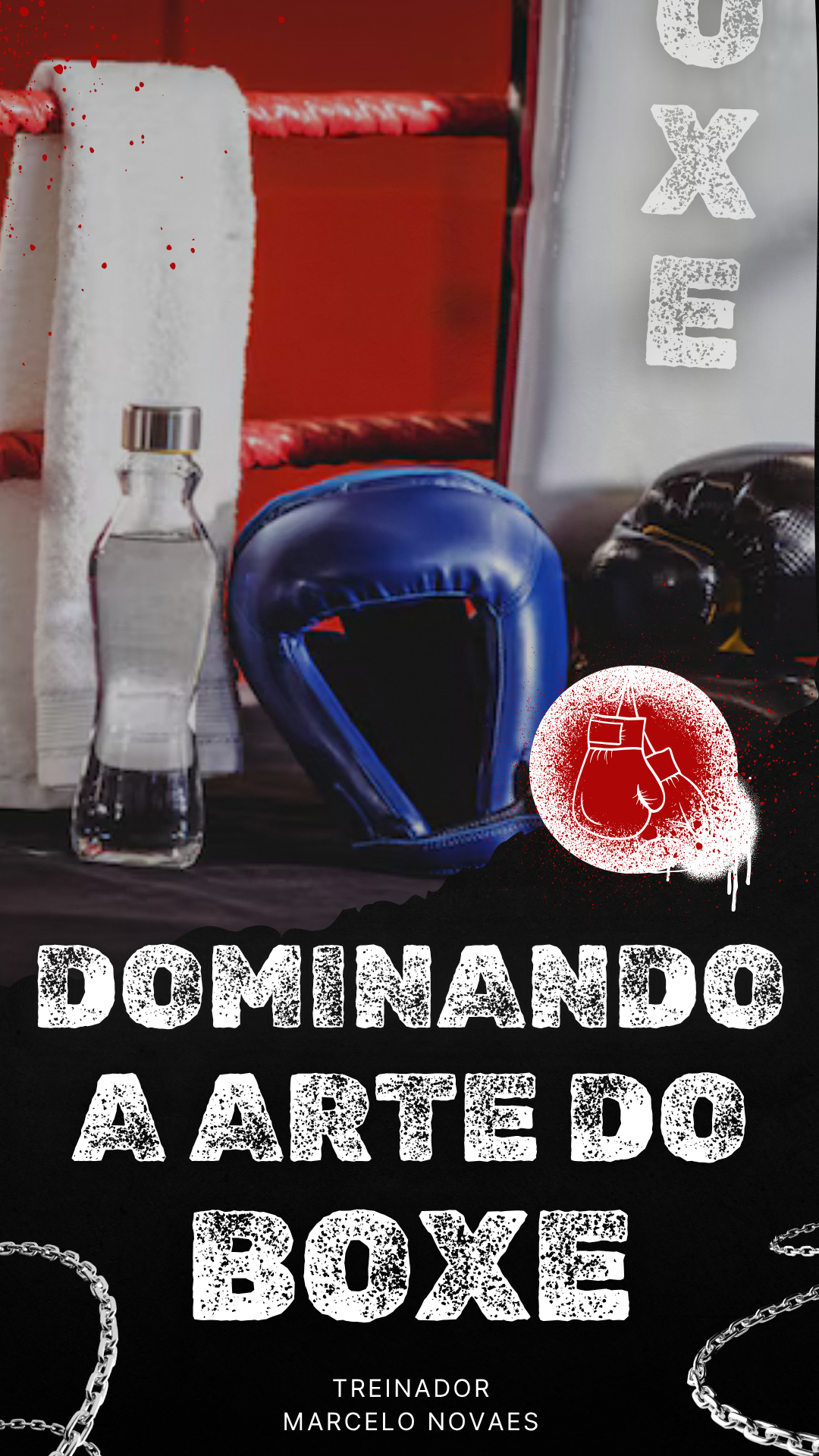 Dominando a Arte do Boxe